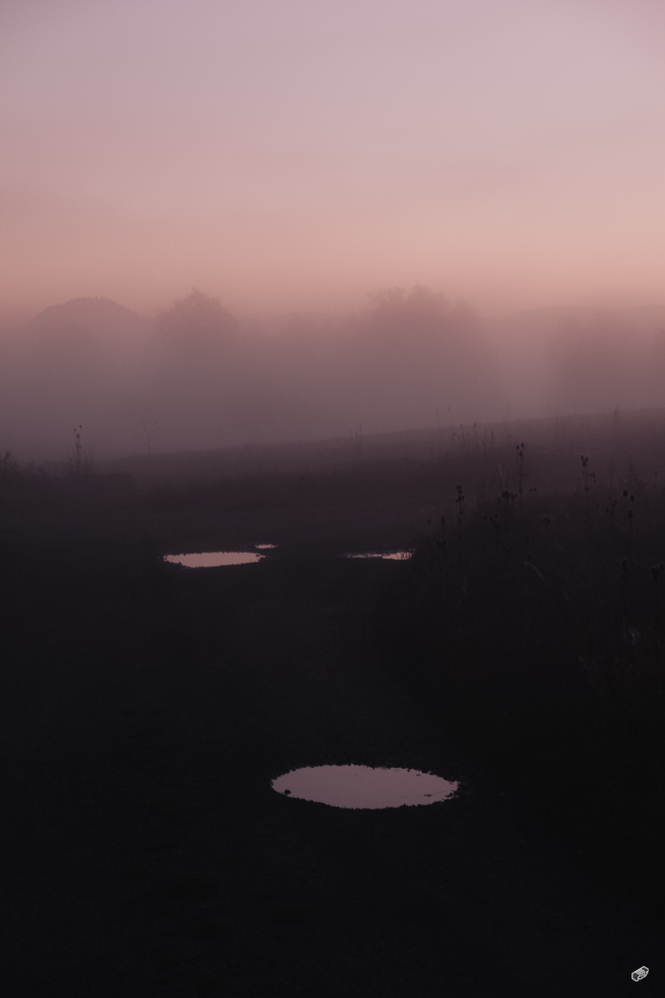  Rainer Wiest Kommunikationsdesign Portfoliobild