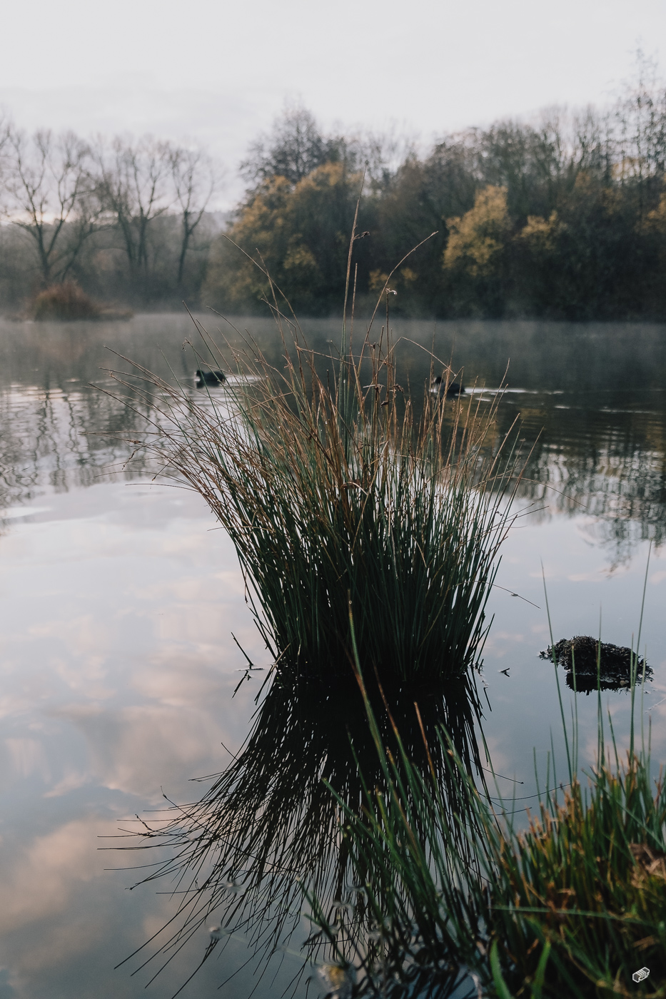  Rainer Wiest Kommunikationsdesign Portfoliobild