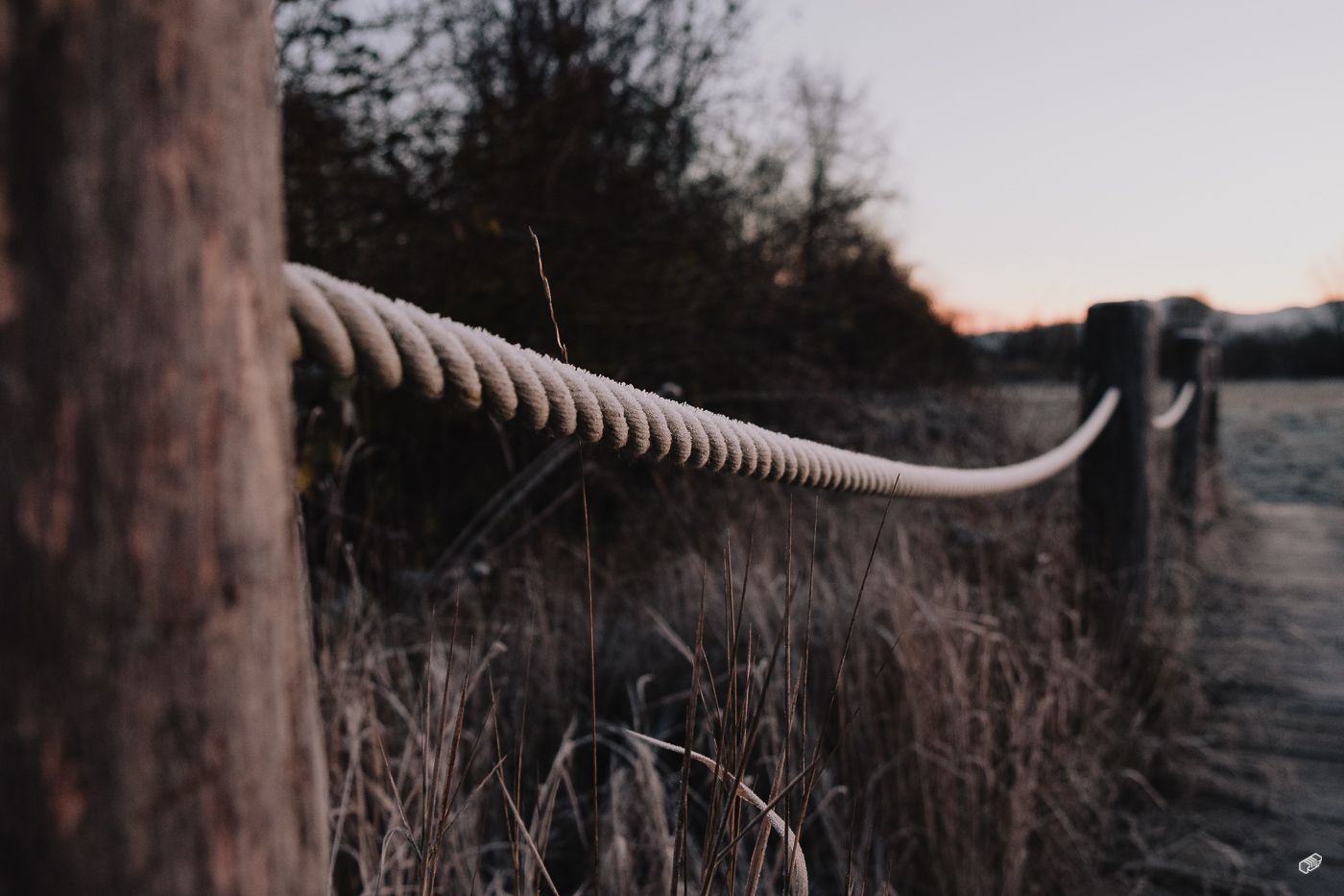  Rainer Wiest Kommunikationsdesign Portfoliobild