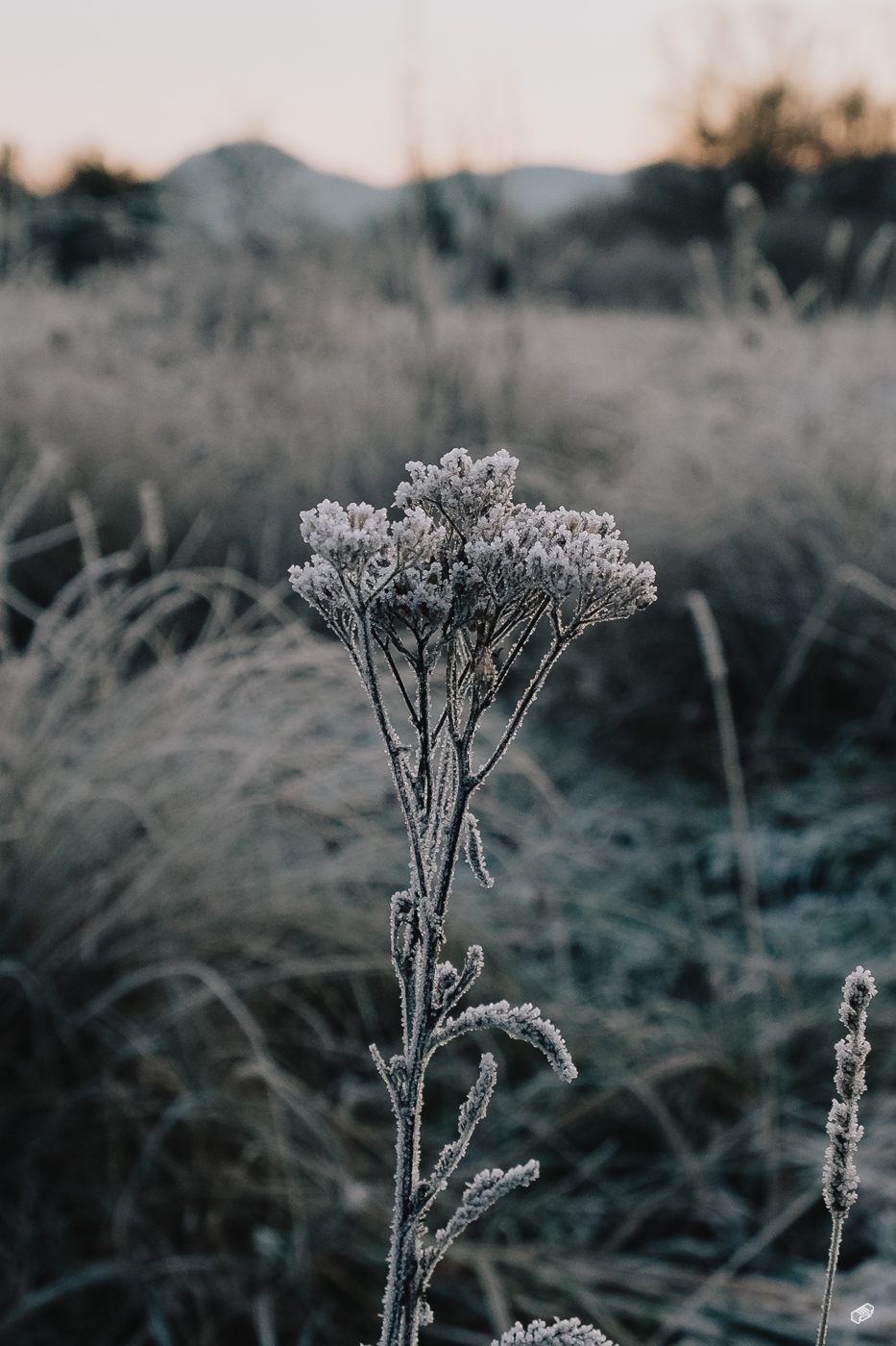  Rainer Wiest Kommunikationsdesign Portfoliobild