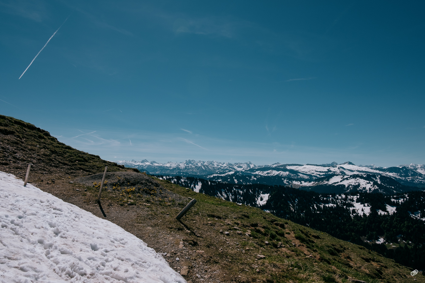  Rainer Wiest Kommunikationsdesign Portfoliobild