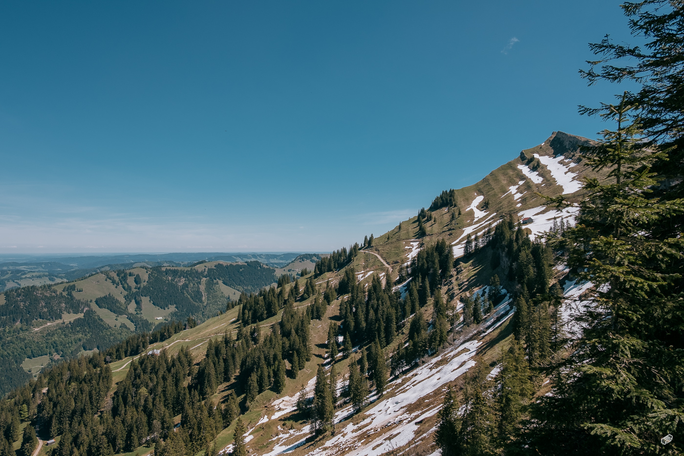  Rainer Wiest Kommunikationsdesign Portfoliobild