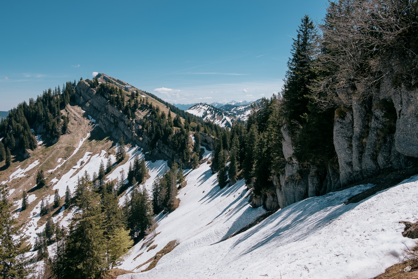  Rainer Wiest Kommunikationsdesign Portfoliobild