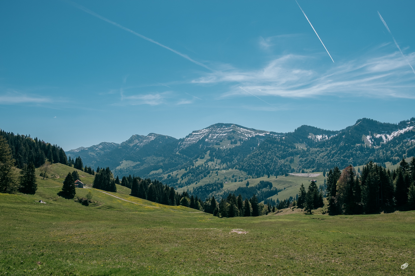  Rainer Wiest Kommunikationsdesign Portfoliobild