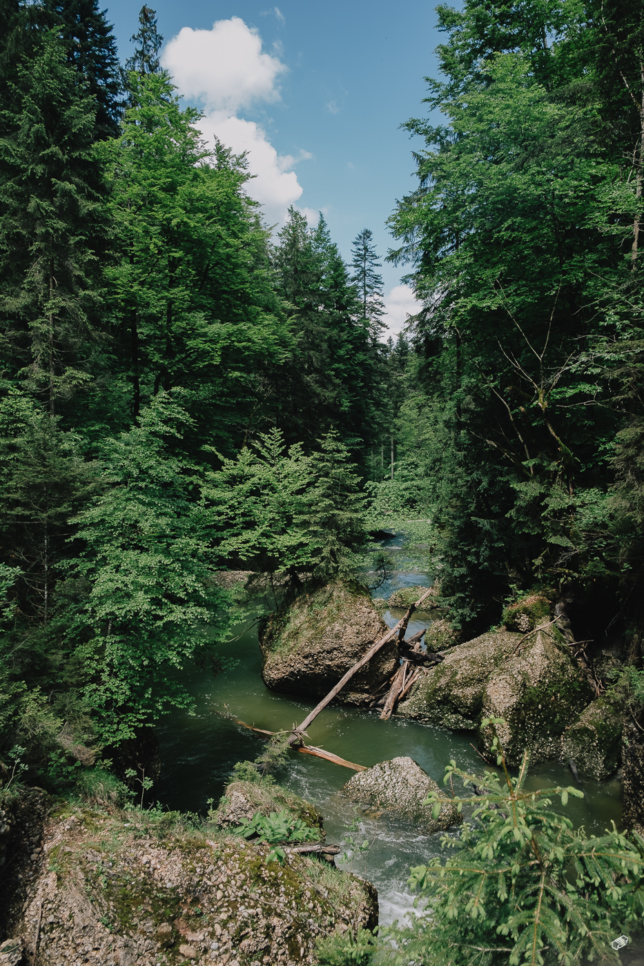  Rainer Wiest Kommunikationsdesign Portfoliobild