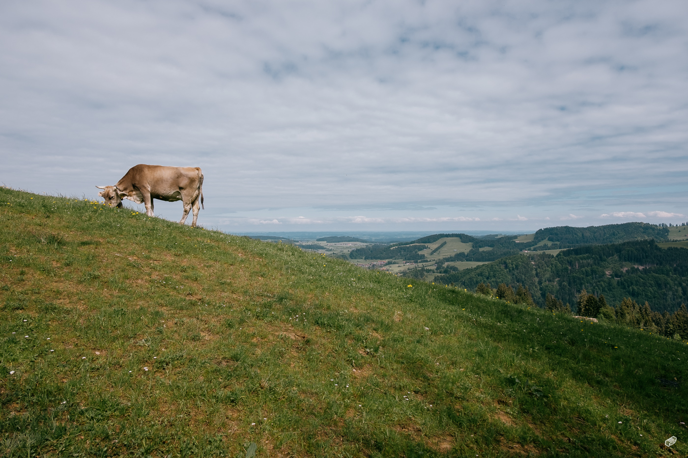  Rainer Wiest Kommunikationsdesign Portfoliobild