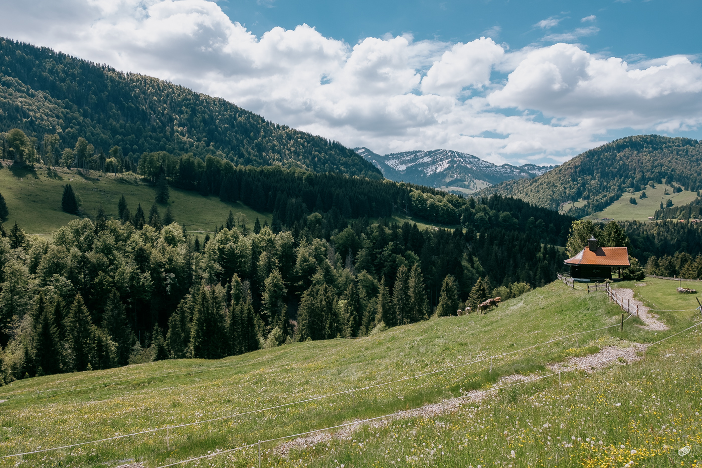  Rainer Wiest Kommunikationsdesign Portfoliobild