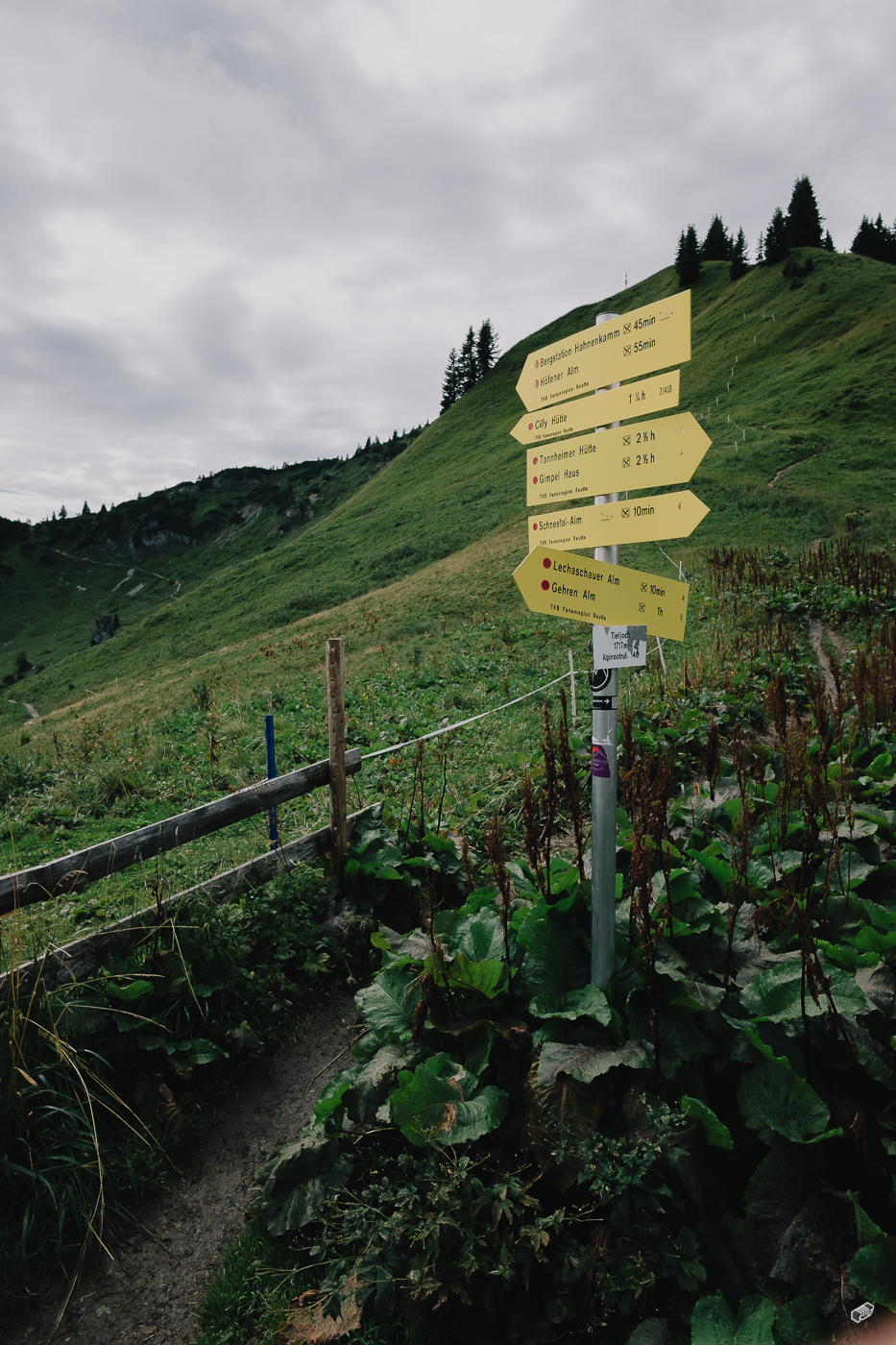  Rainer Wiest Kommunikationsdesign Portfoliobild