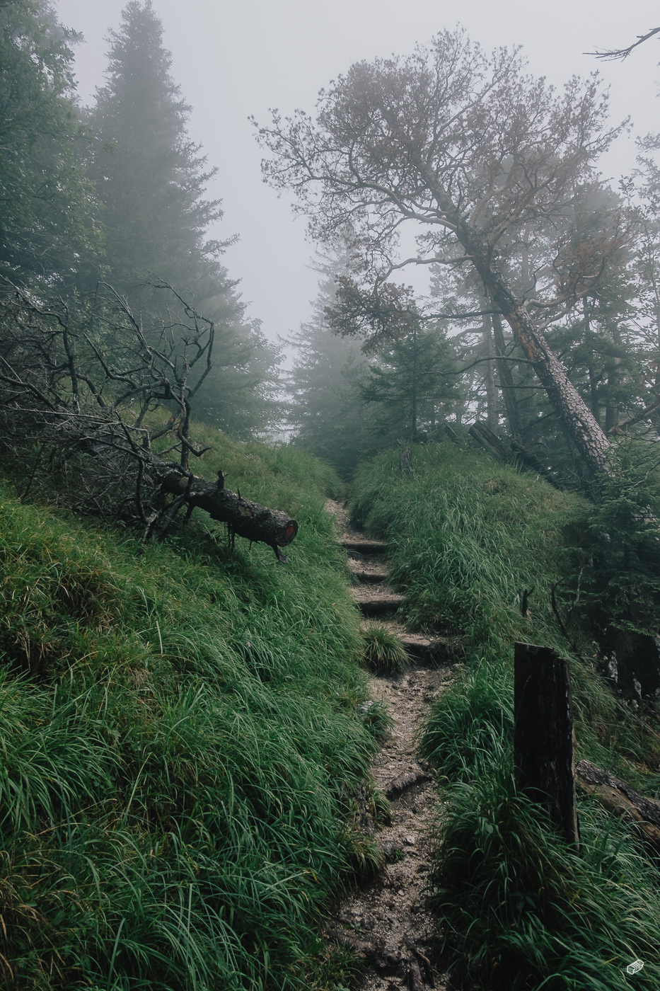  Rainer Wiest Kommunikationsdesign Portfoliobild