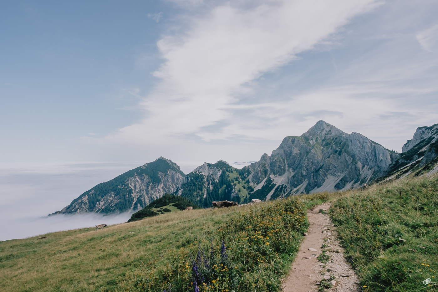  Rainer Wiest Kommunikationsdesign Portfoliobild