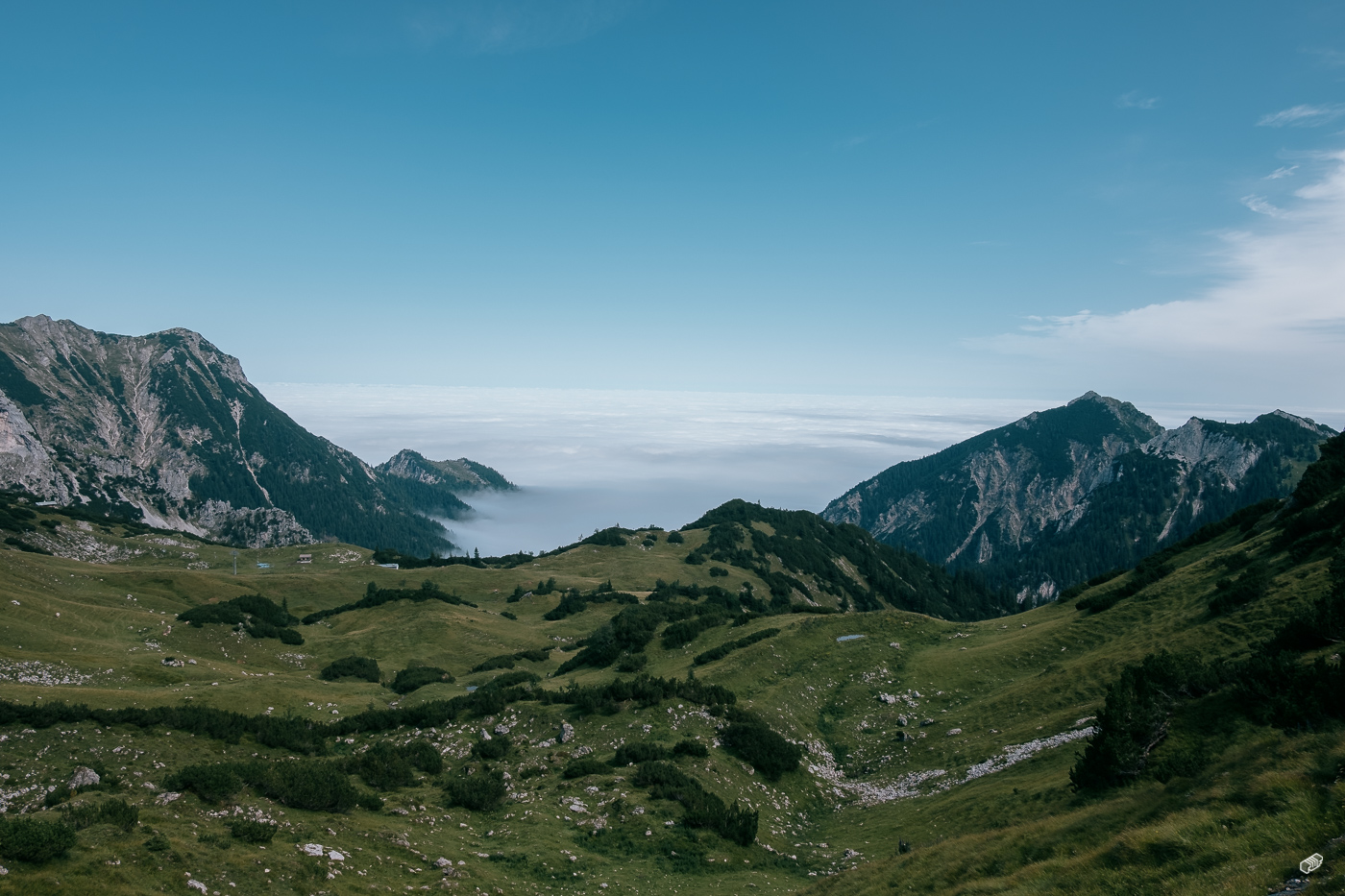  Rainer Wiest Kommunikationsdesign Portfoliobild