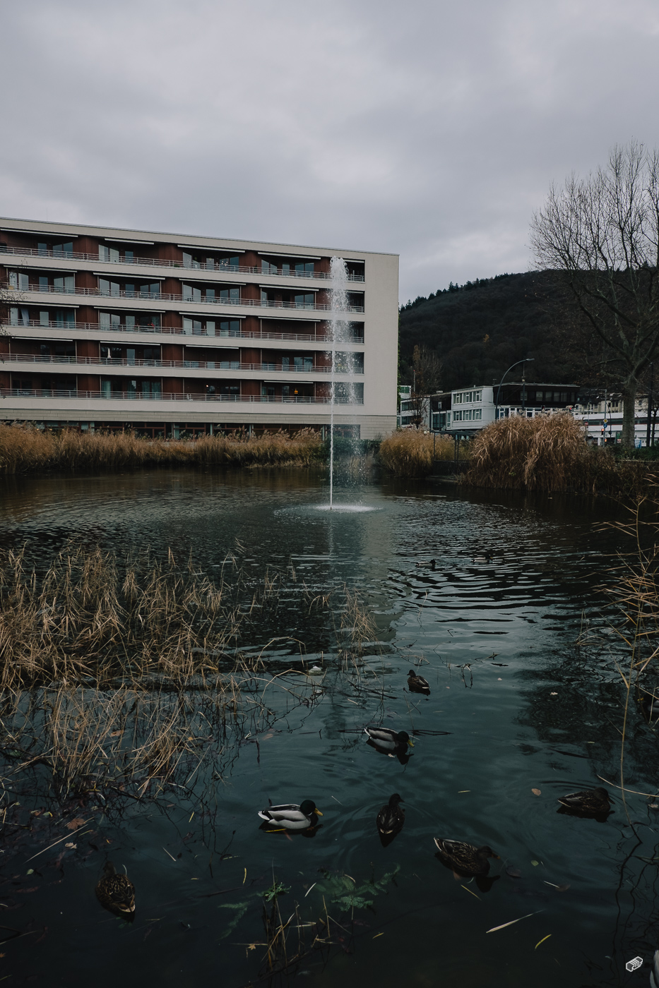  Rainer Wiest Kommunikationsdesign Portfoliobild