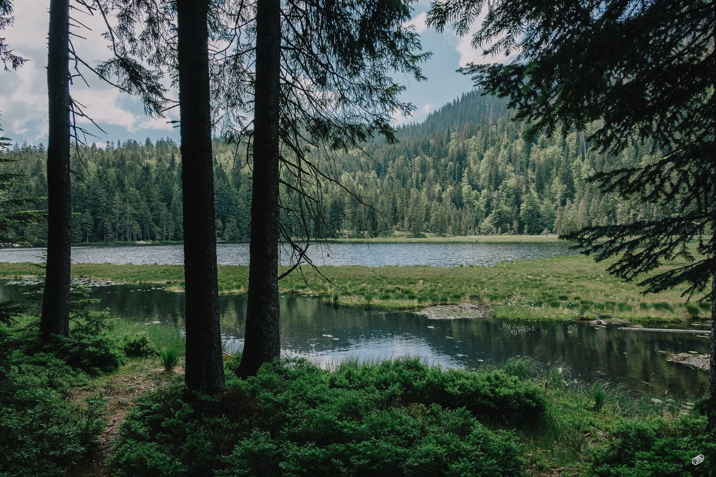  Rainer Wiest Kommunikationsdesign Portfoliobild