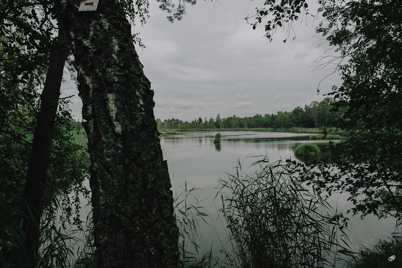  Rainer Wiest Kommunikationsdesign Portfoliobild