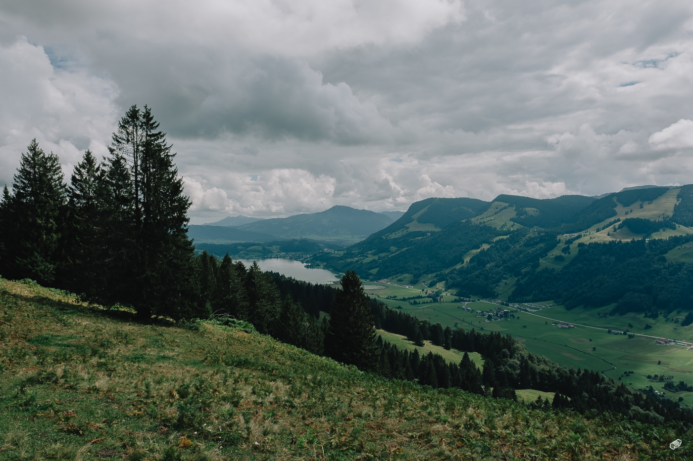  Rainer Wiest Kommunikationsdesign Portfoliobild