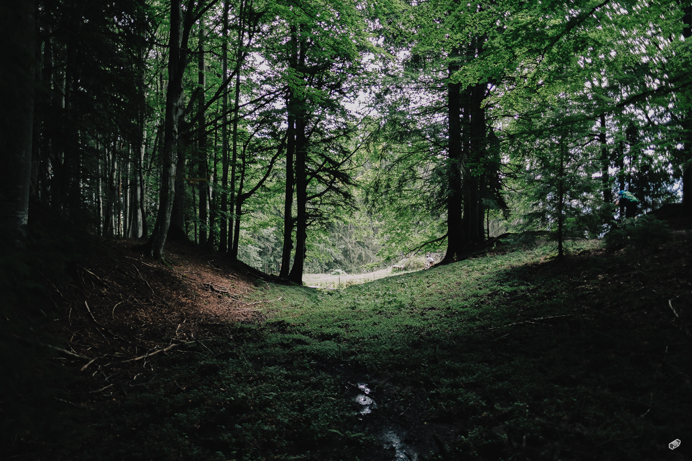  Rainer Wiest Kommunikationsdesign Portfoliobild