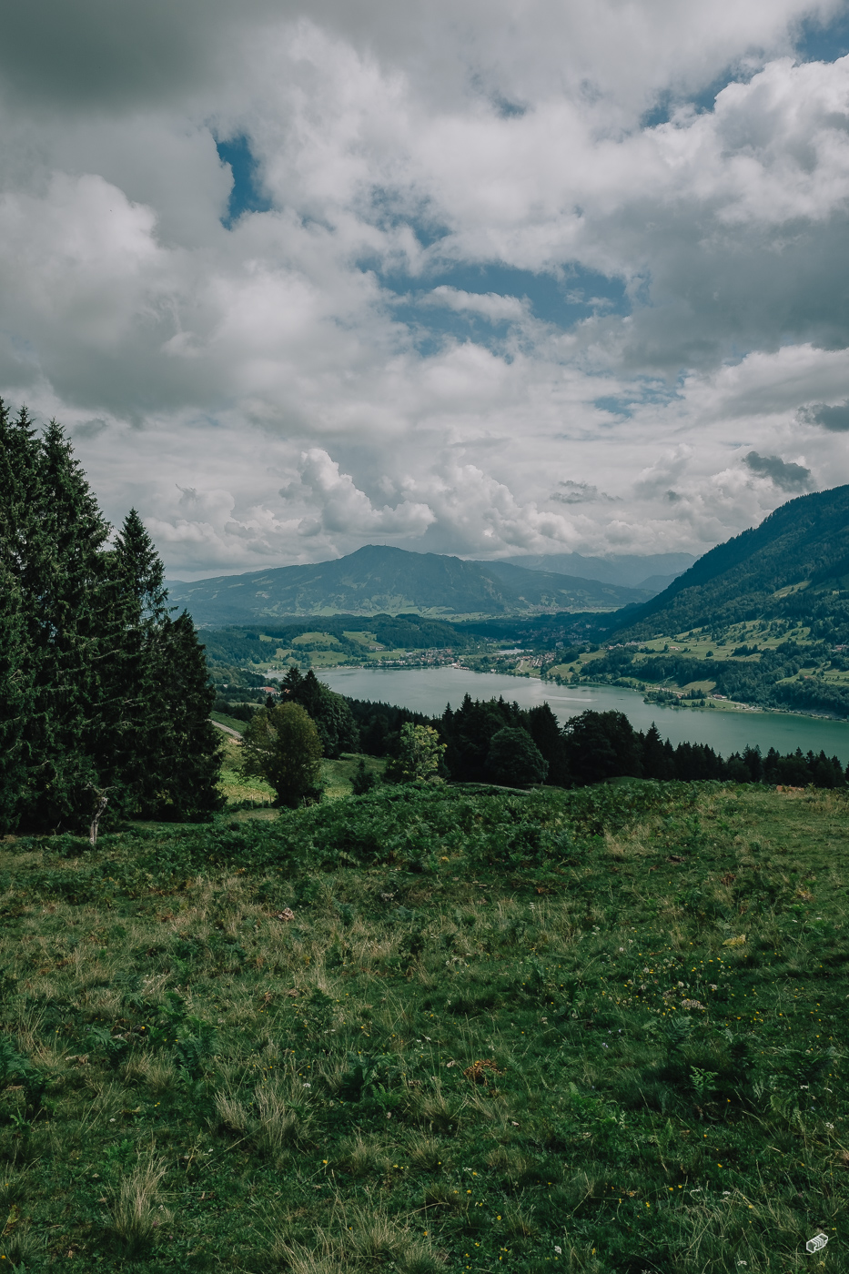  Rainer Wiest Kommunikationsdesign Portfoliobild