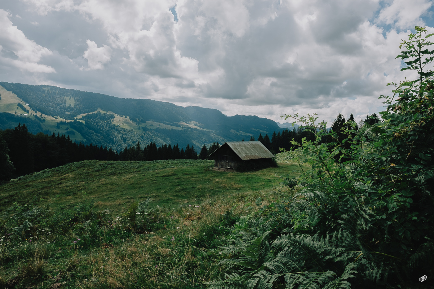  Rainer Wiest Kommunikationsdesign Portfoliobild