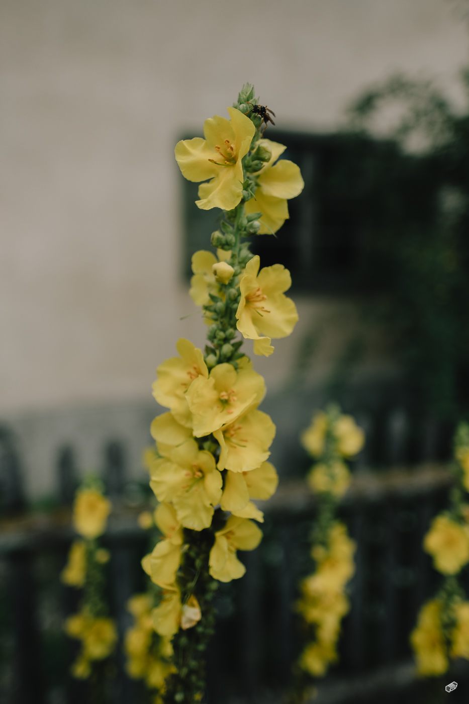  Rainer Wiest Kommunikationsdesign Portfoliobild