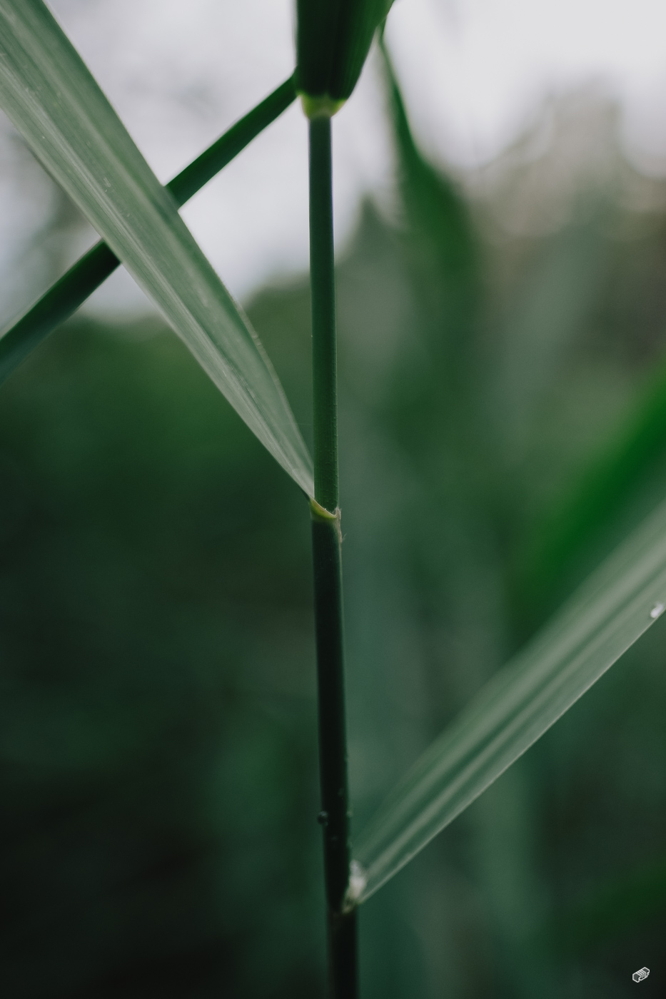  Rainer Wiest Kommunikationsdesign Portfoliobild