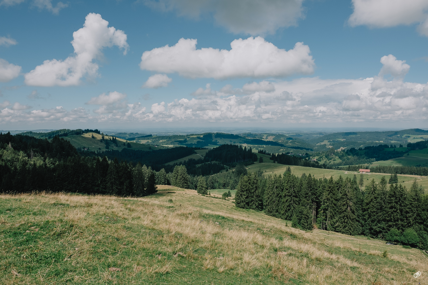  Rainer Wiest Kommunikationsdesign Portfoliobild