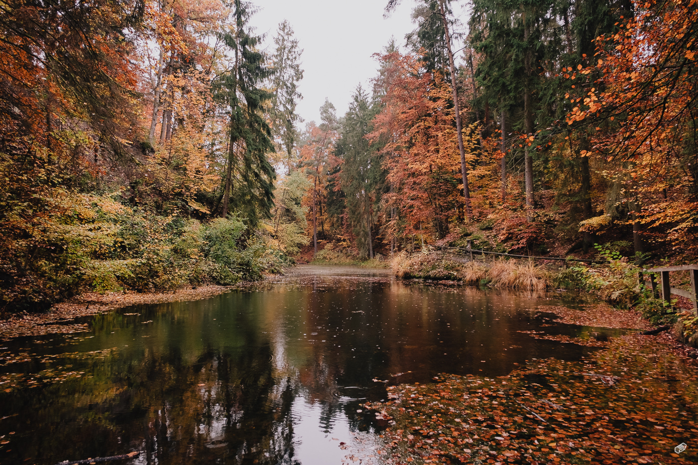 Rainer Wiest Kommunikationsdesign Portfoliobild