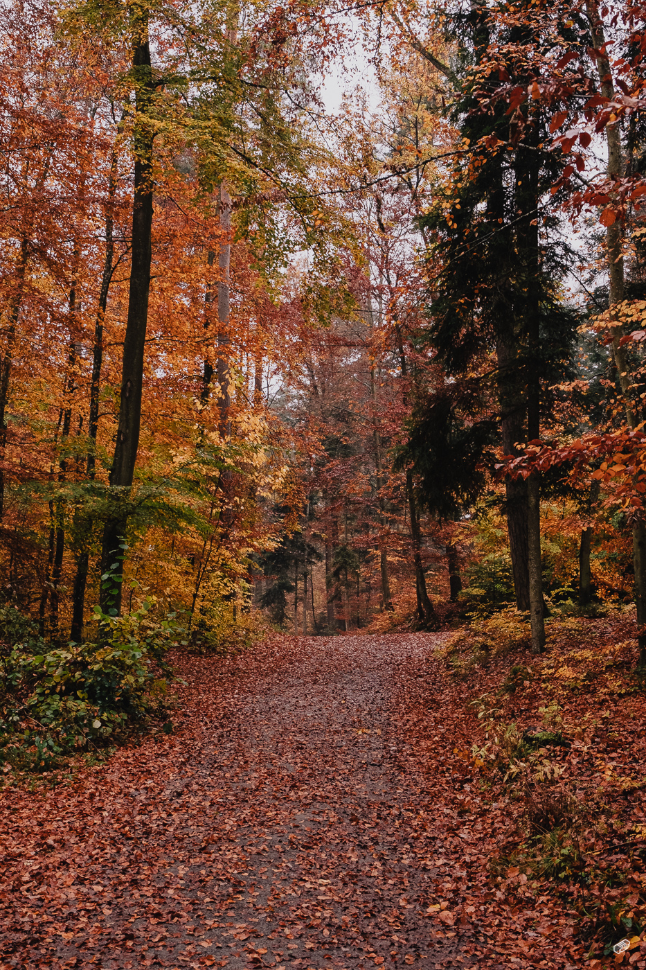 Rainer Wiest Kommunikationsdesign Portfoliobild