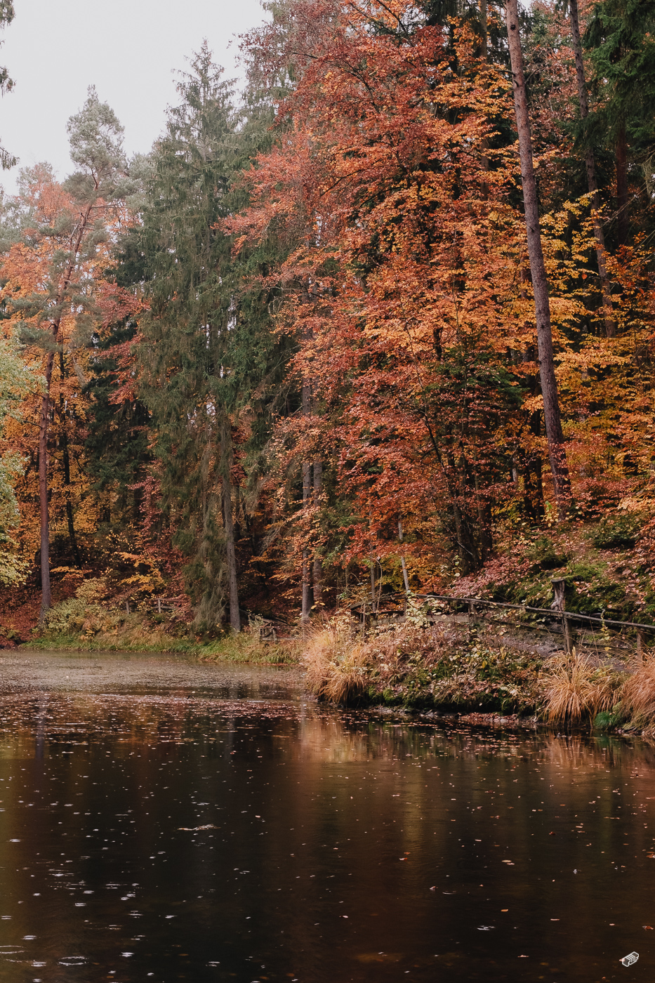 Rainer Wiest Kommunikationsdesign Portfoliobild