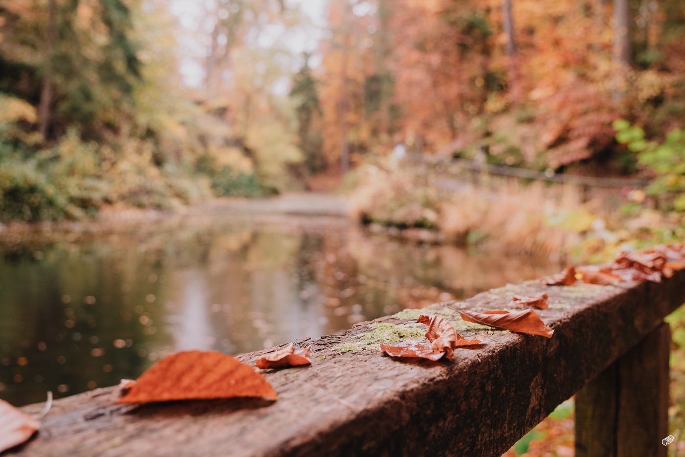 Rainer Wiest Kommunikationsdesign Portfoliobild