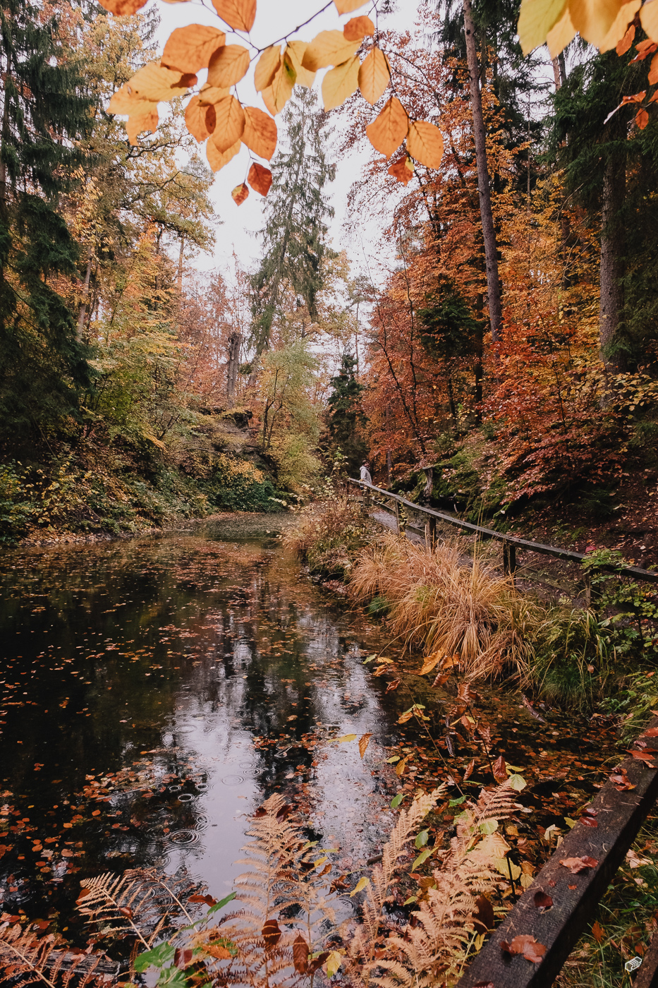 Rainer Wiest Kommunikationsdesign Portfoliobild