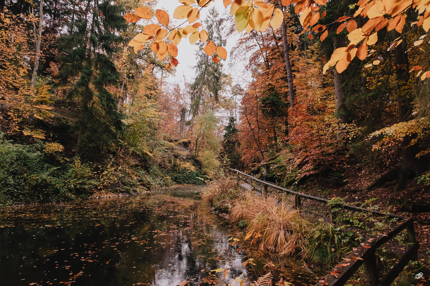 Rainer Wiest Kommunikationsdesign Portfoliobild