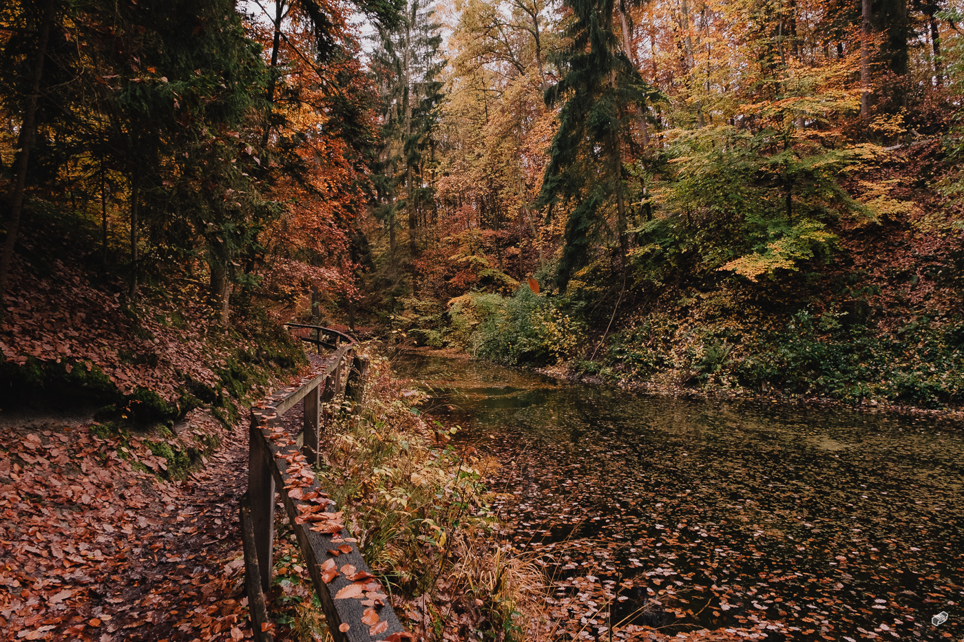 Rainer Wiest Kommunikationsdesign Portfoliobild