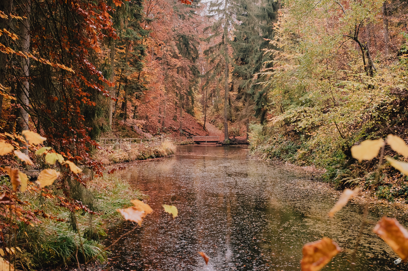 Rainer Wiest Kommunikationsdesign Portfoliobild