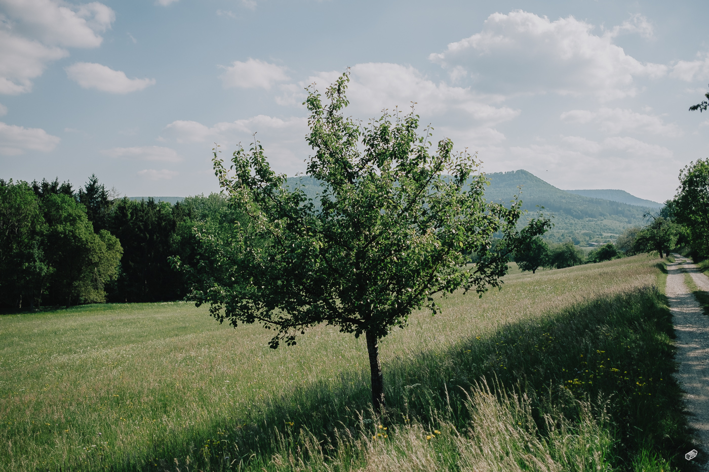  Rainer Wiest Kommunikationsdesign Portfoliobild