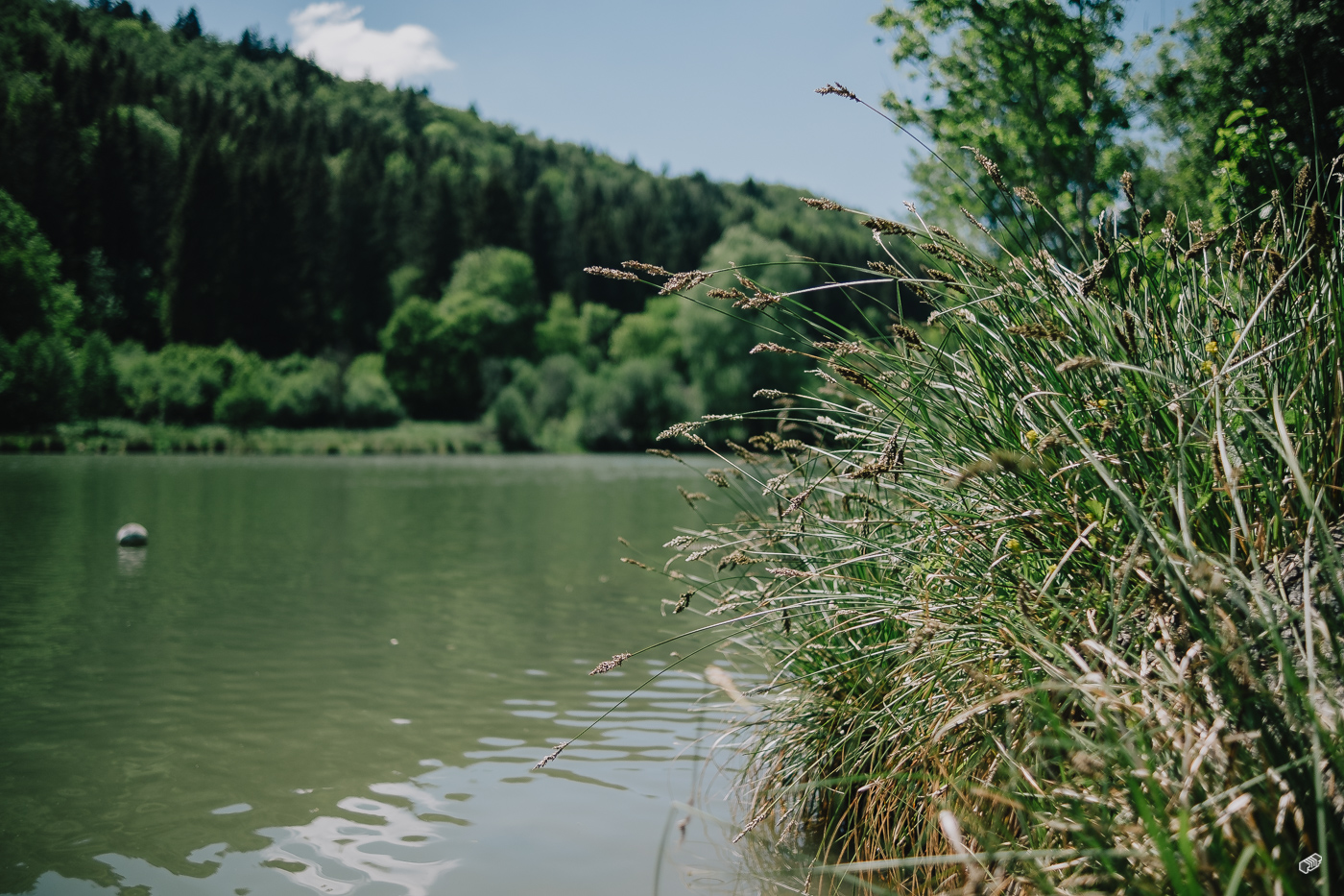  Rainer Wiest Kommunikationsdesign Portfoliobild