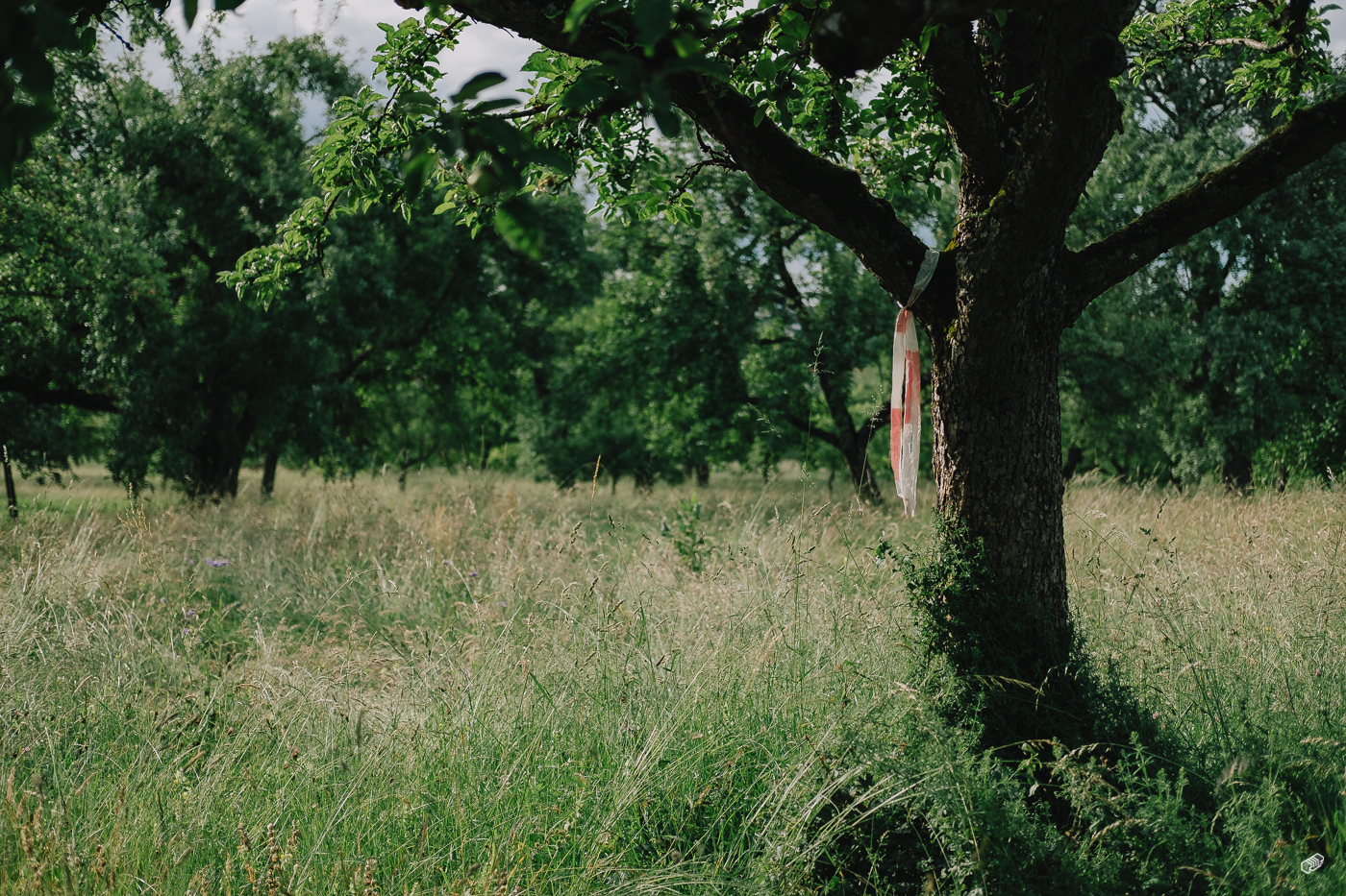  Rainer Wiest Kommunikationsdesign Portfoliobild