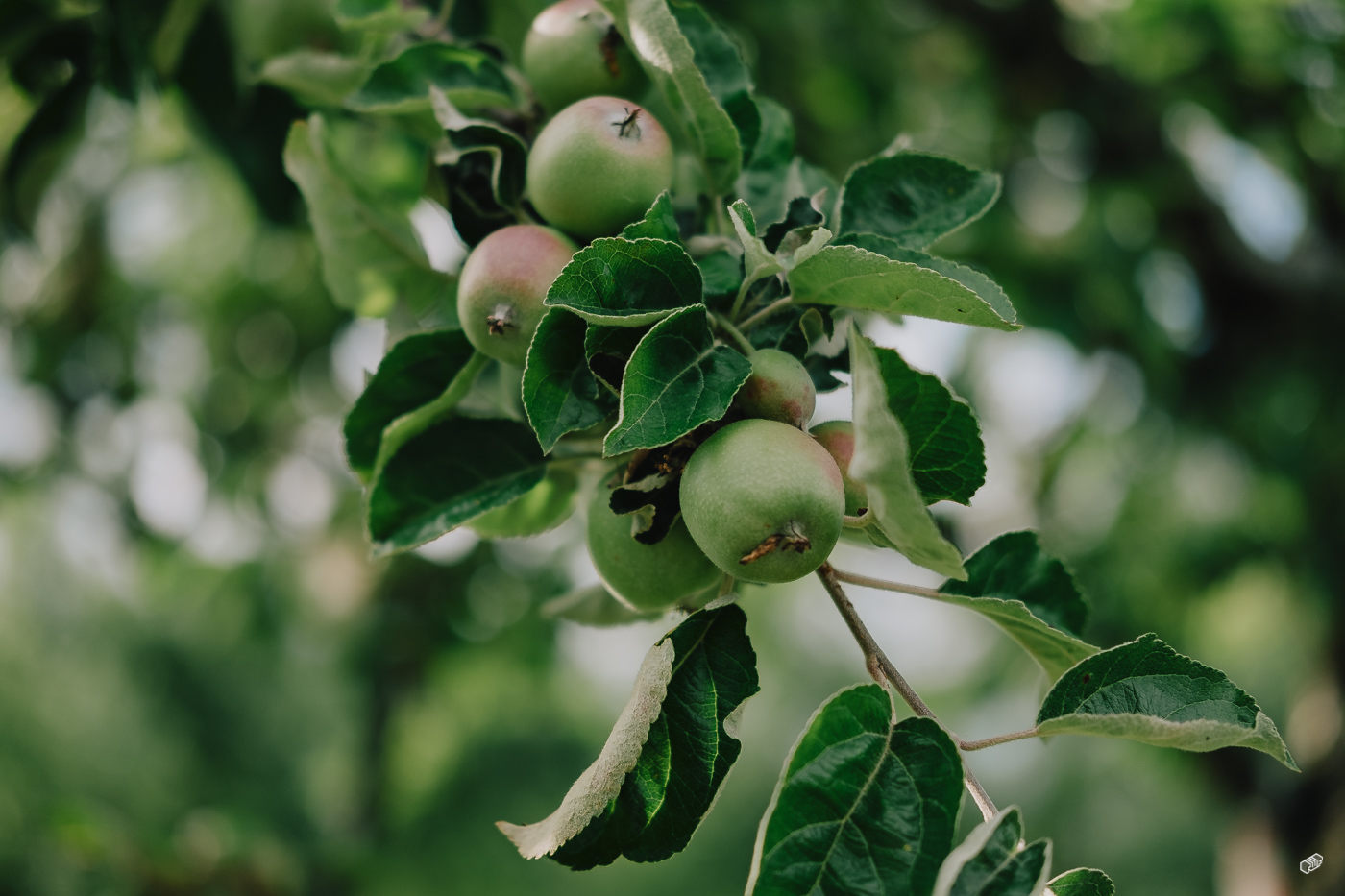  Rainer Wiest Kommunikationsdesign Portfoliobild