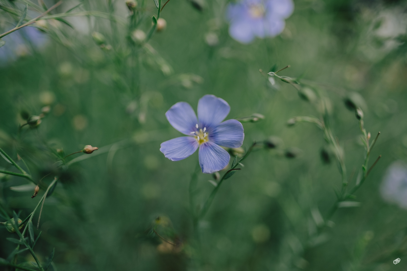  Rainer Wiest Kommunikationsdesign Portfoliobild