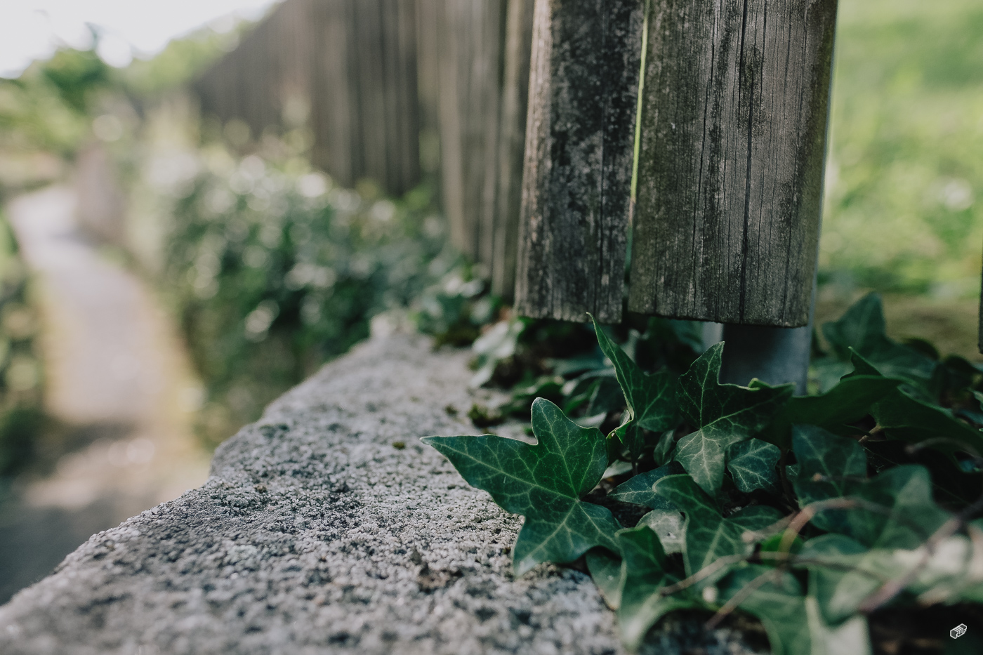  Rainer Wiest Kommunikationsdesign Portfoliobild