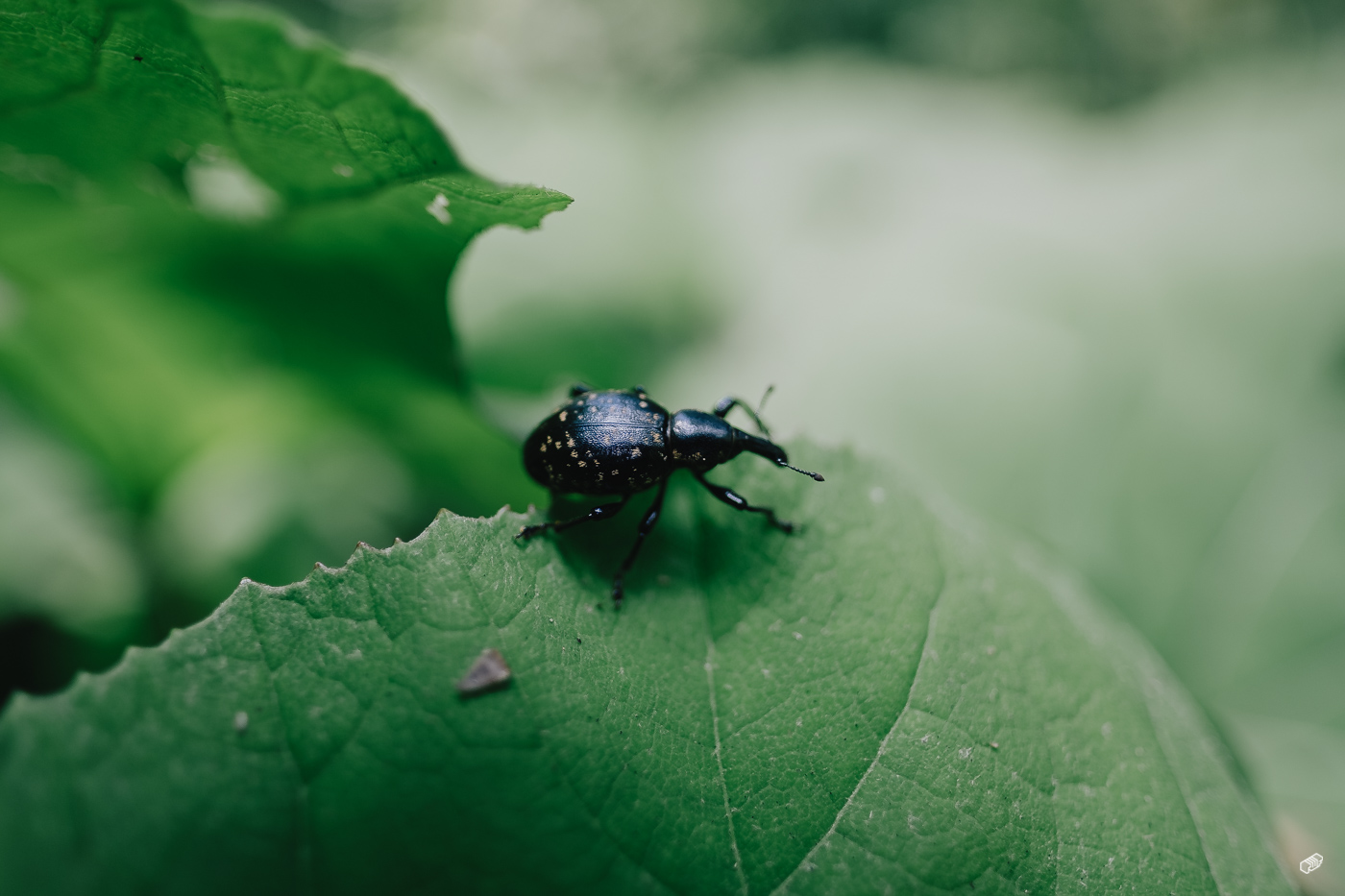  Rainer Wiest Kommunikationsdesign Portfoliobild