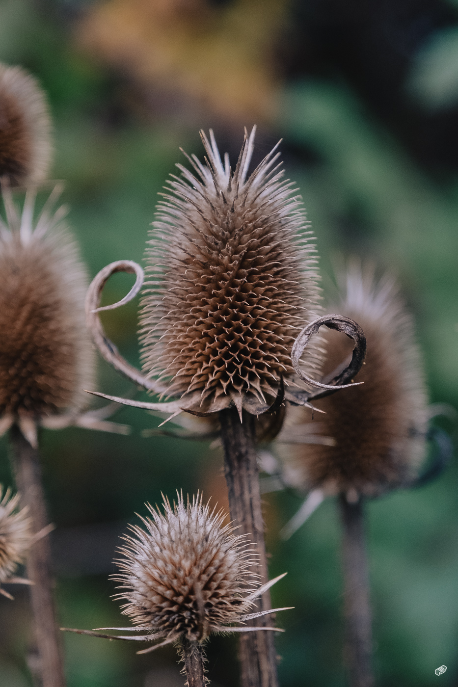  Rainer Wiest Kommunikationsdesign Portfoliobild