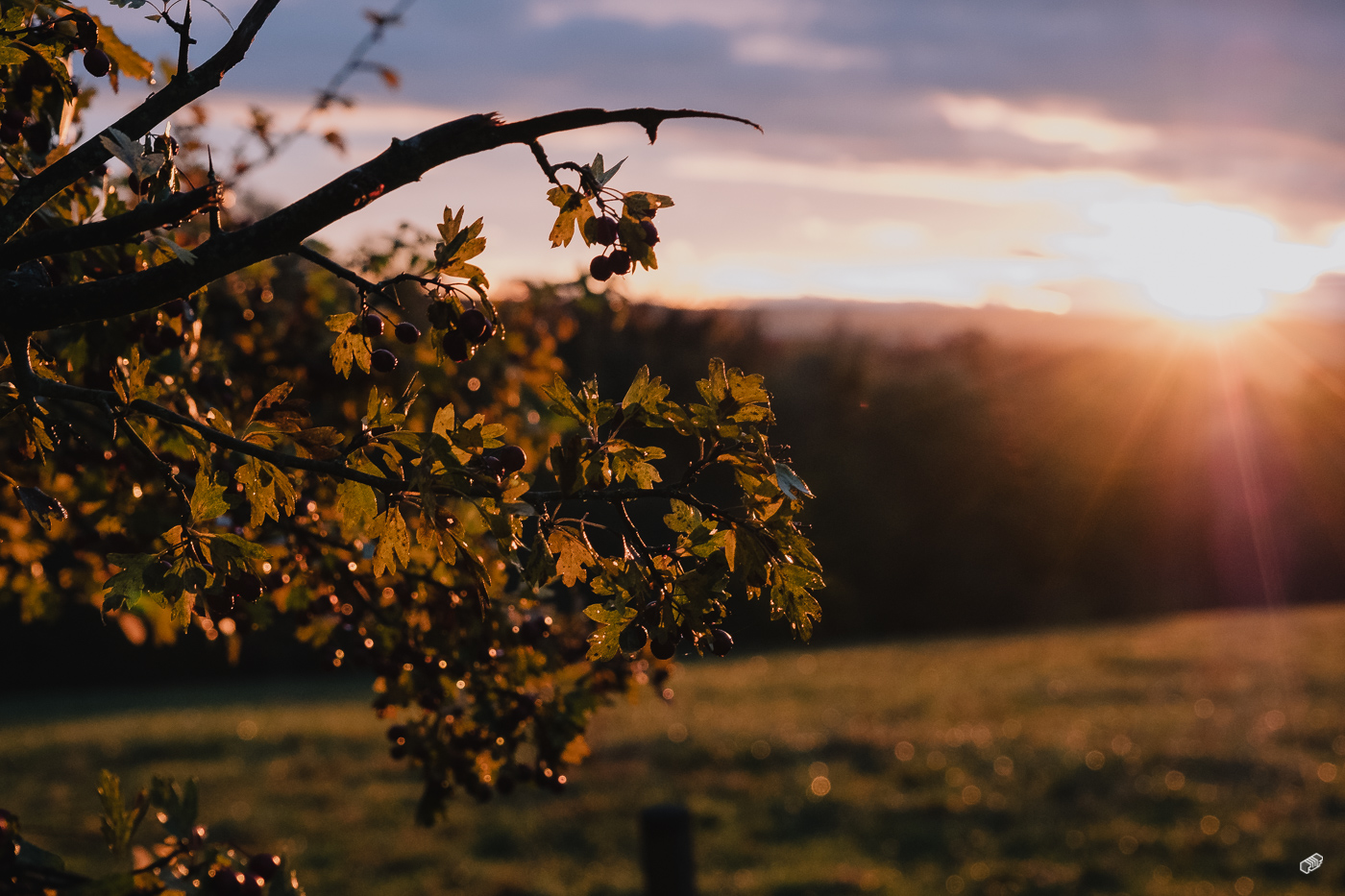  Rainer Wiest Kommunikationsdesign Portfoliobild