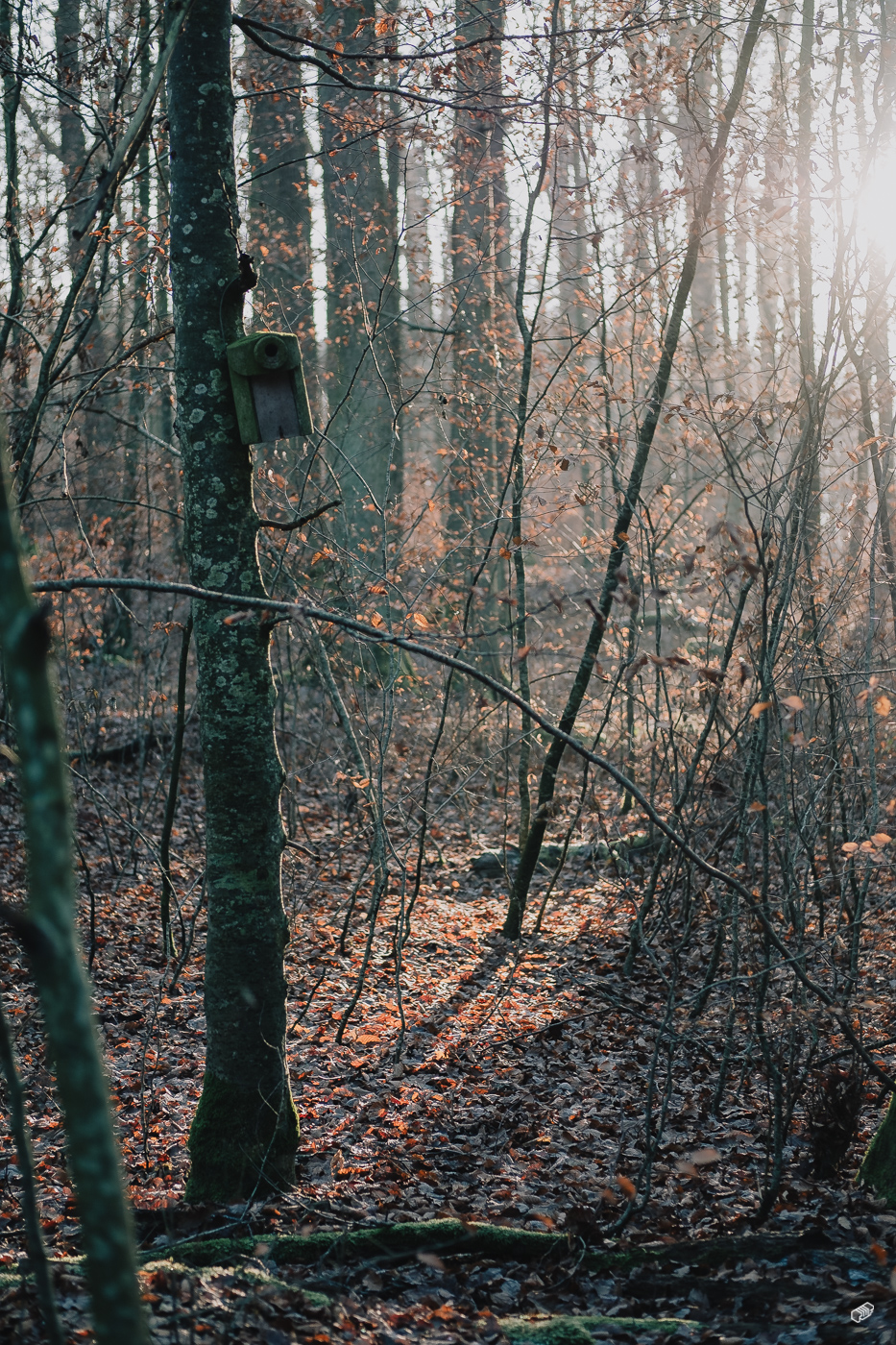  Rainer Wiest Kommunikationsdesign Portfoliobild