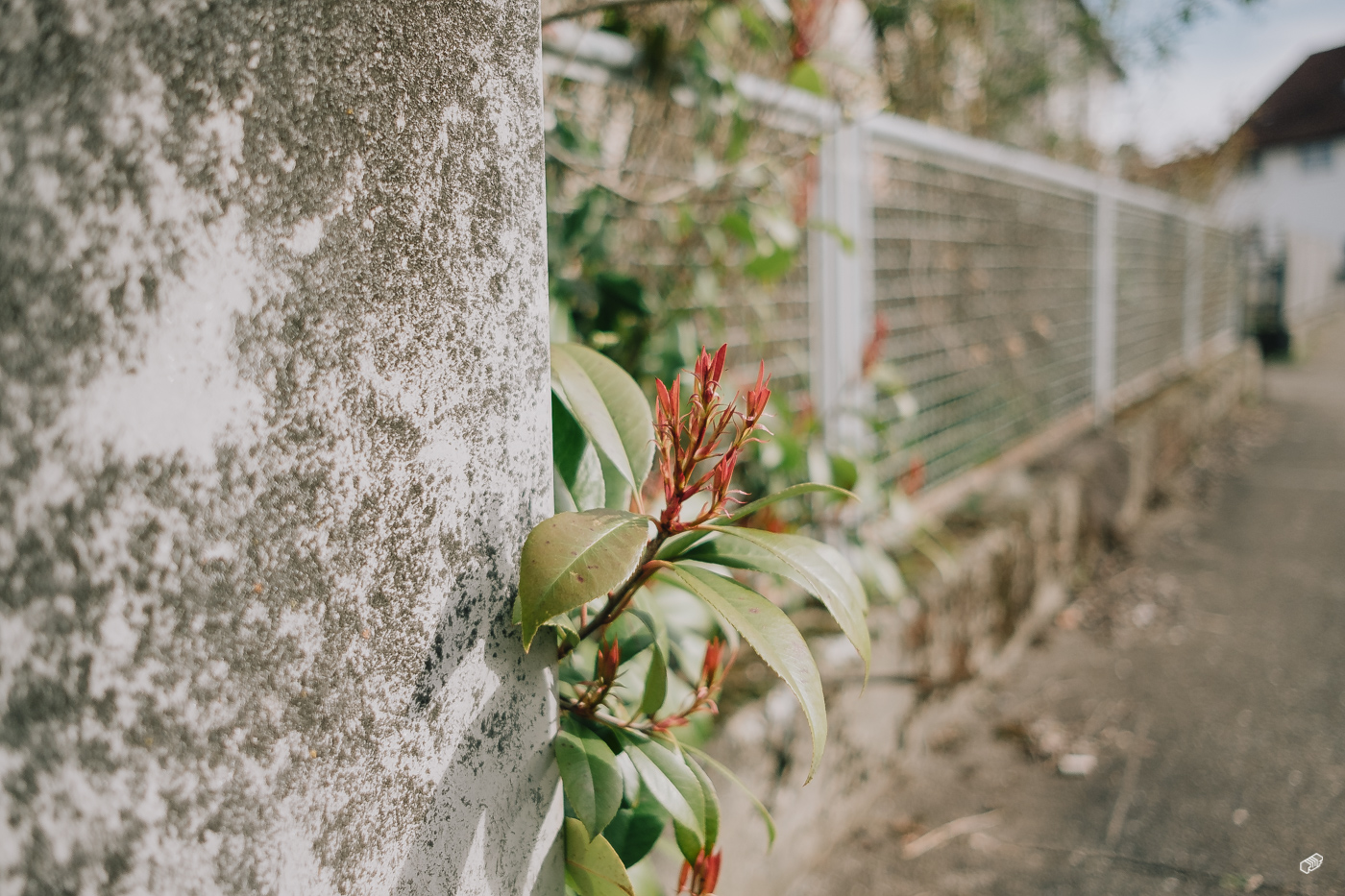  Rainer Wiest Kommunikationsdesign Portfoliobild