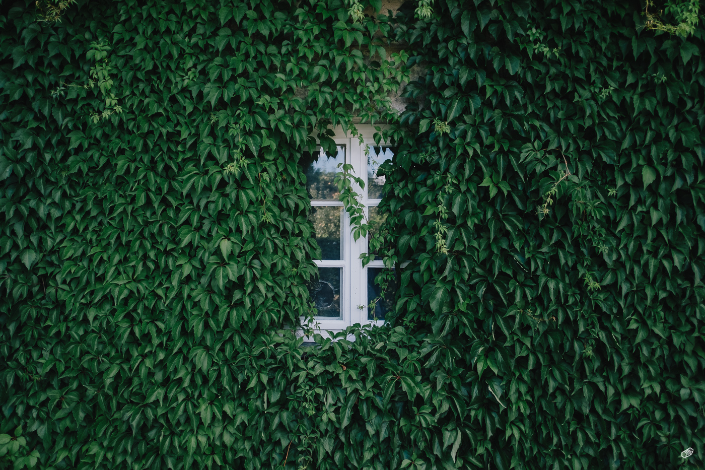  Rainer Wiest Kommunikationsdesign Portfoliobild