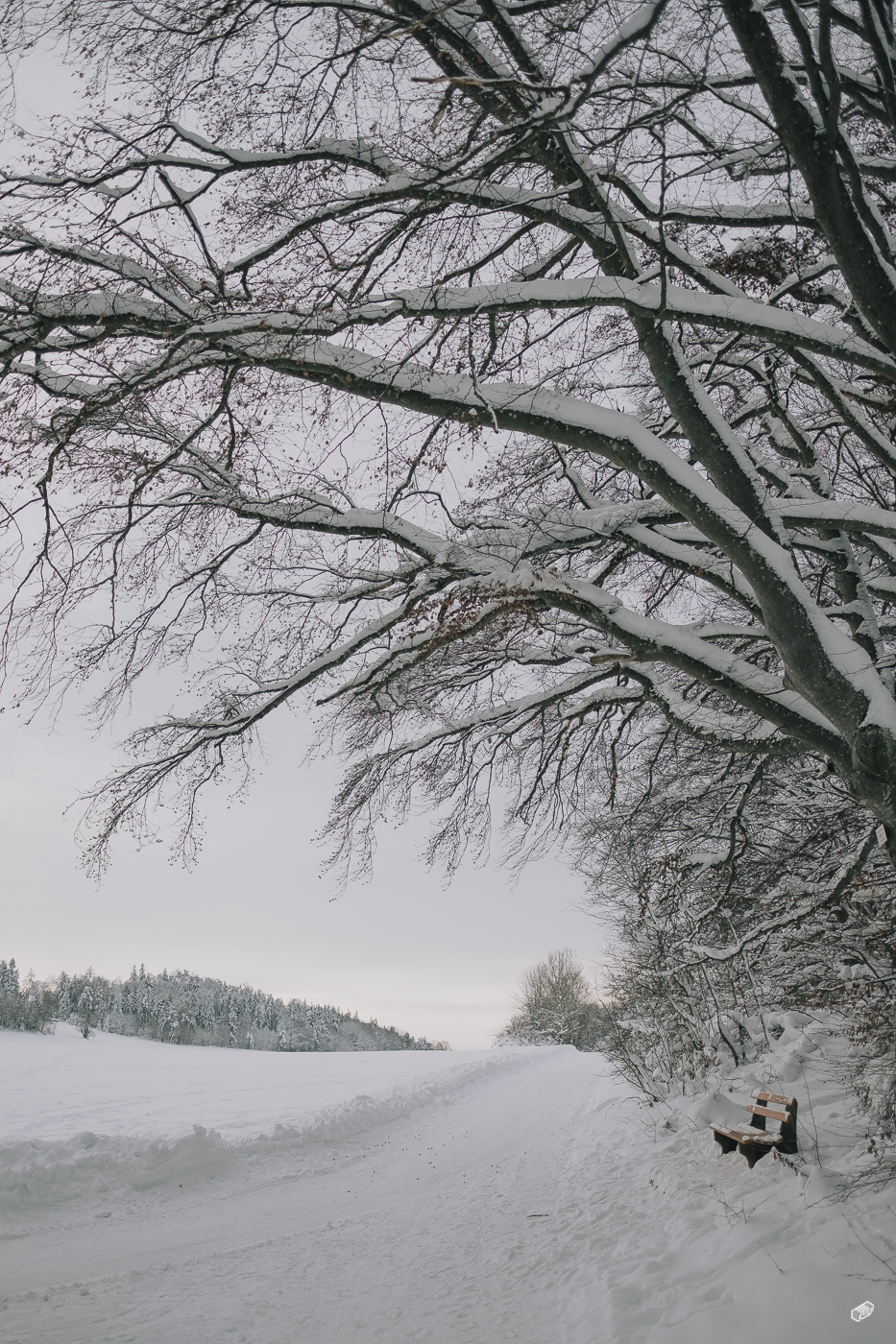  Rainer Wiest Kommunikationsdesign Portfoliobild