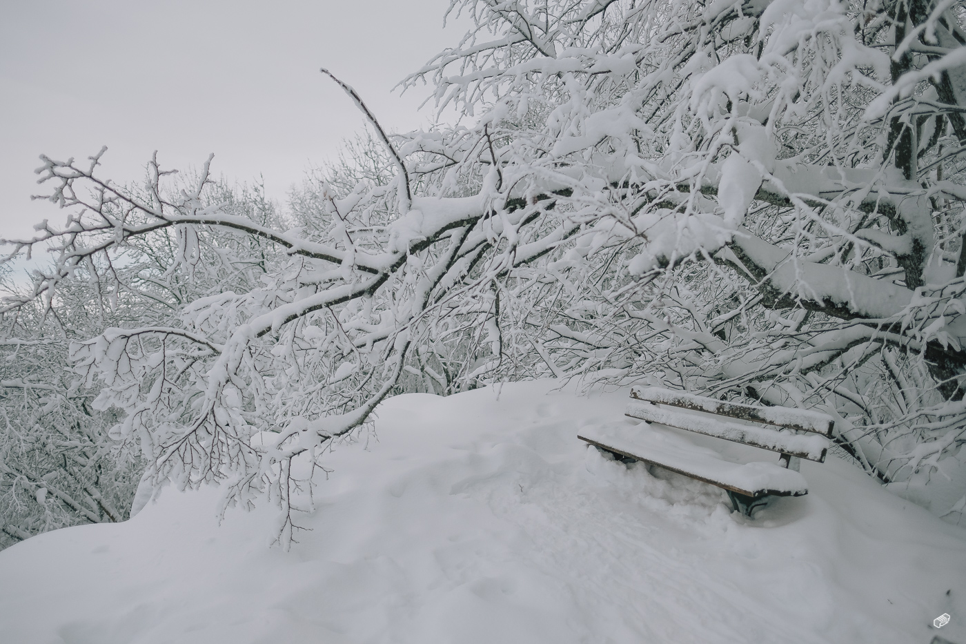  Rainer Wiest Kommunikationsdesign Portfoliobild