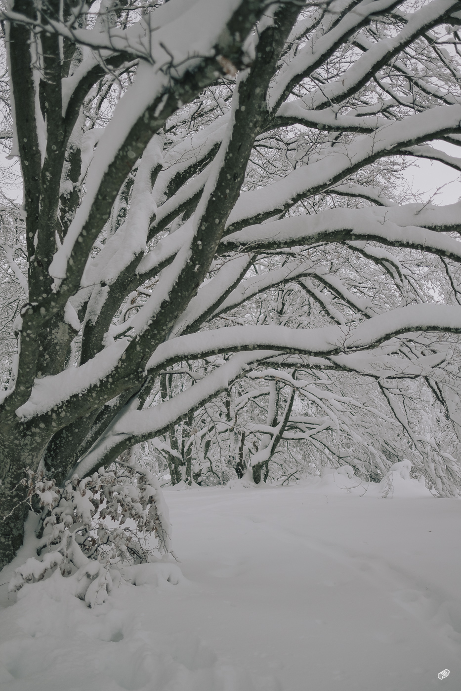  Rainer Wiest Kommunikationsdesign Portfoliobild