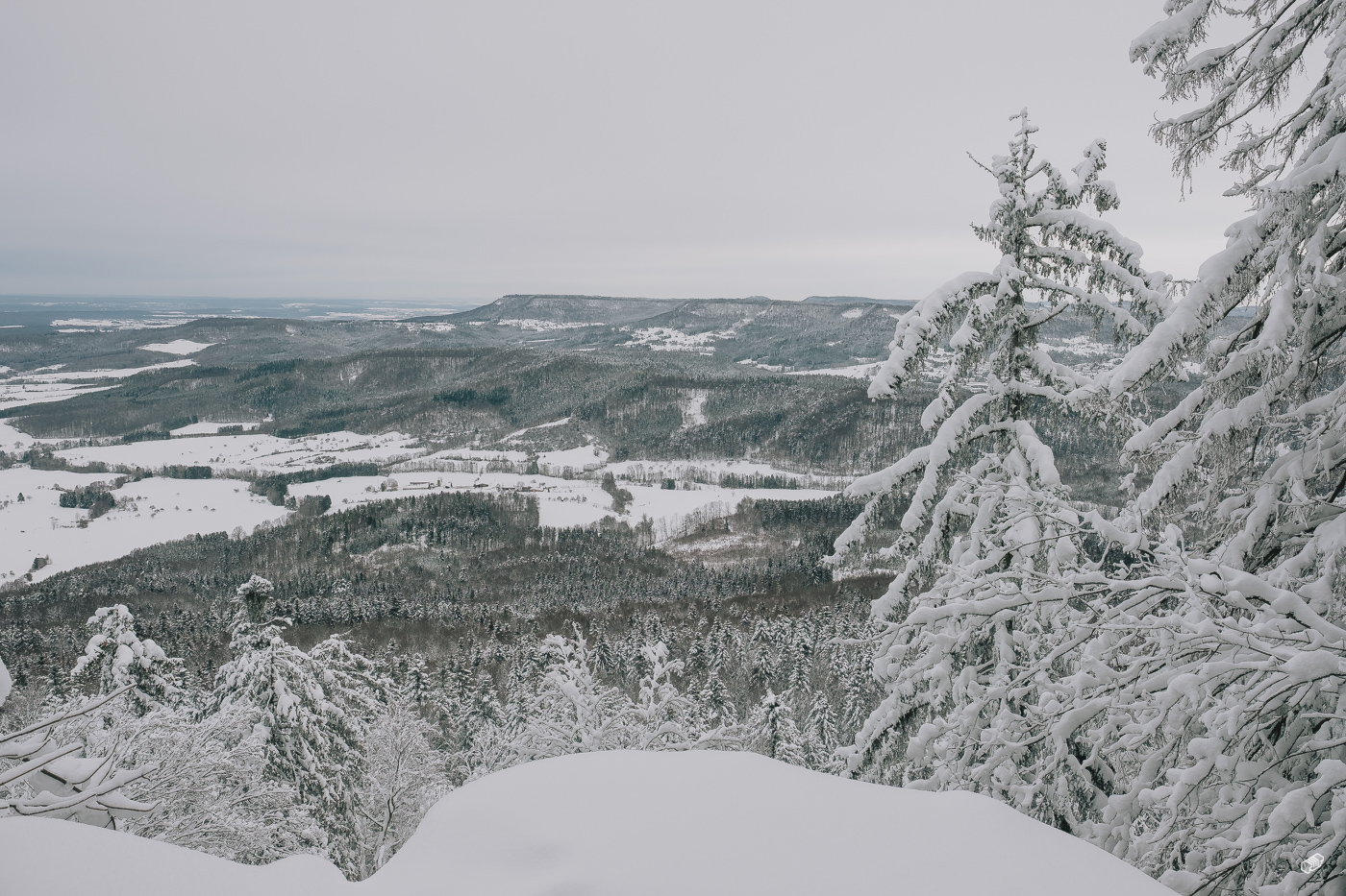  Rainer Wiest Kommunikationsdesign Portfoliobild