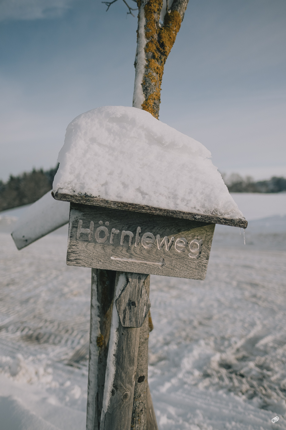  Rainer Wiest Kommunikationsdesign Portfoliobild